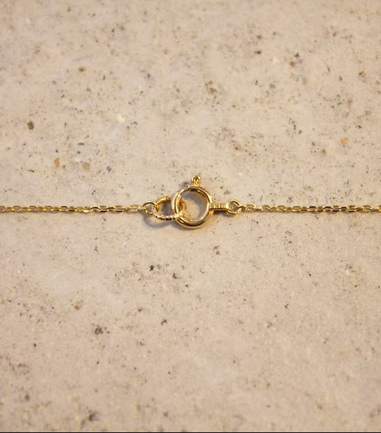 Drop M Necklace K10YG
