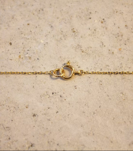 Loop Anklet K10YG